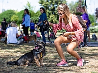 Adoptuj Warszawiaka  Wydarzenie promujące adopcję zwierząt. Organizator: Schronisko dla Bezdomnych Zwierząt "Na Paluchu". 18 sierpnia 2019, Park Raszyński w Raszynie. : park raszyński, adoptuj warszawiaka, na paluchu, schronisko dla zwierząt, centrum warszawy, raszyn